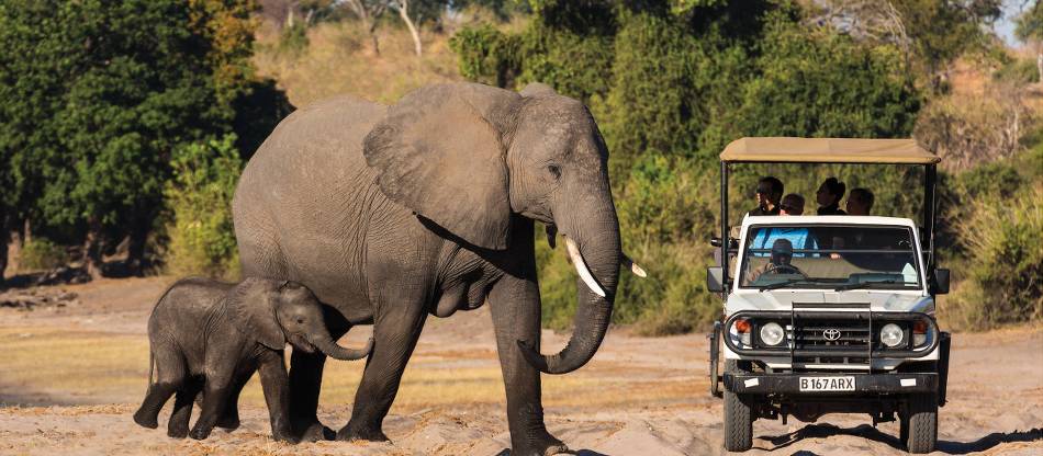 Sri Lanka Wildlife Safari Adventure